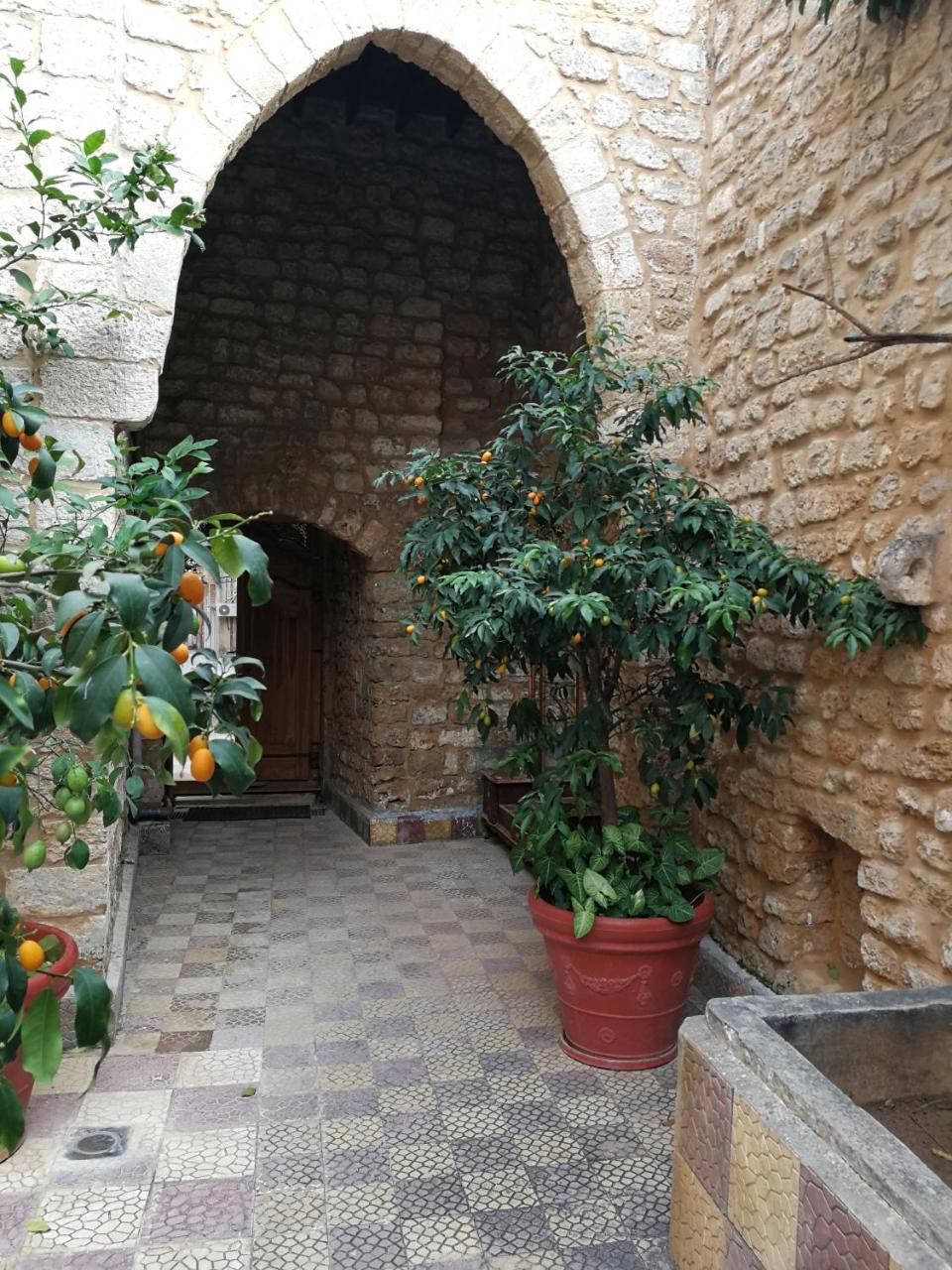 Dar Camelia Bed & Breakfast Sur Dış mekan fotoğraf