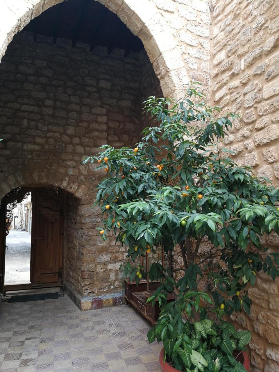 Dar Camelia Bed & Breakfast Sur Dış mekan fotoğraf